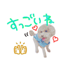 褒め上手うーちゃん（個別スタンプ：5）