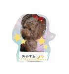 トイプードルゆずちゃん。ラブリー甘えんぼ（個別スタンプ：8）