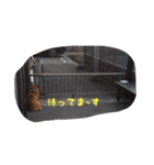 Bー太と一歩（個別スタンプ：2）