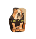Bー太と一歩（個別スタンプ：15）