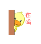 Little yellow duck（個別スタンプ：3）