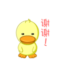 Little yellow duck（個別スタンプ：4）