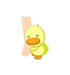 Little yellow duck（個別スタンプ：10）