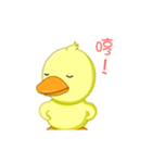 Little yellow duck（個別スタンプ：16）