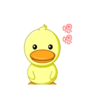 Little yellow duck（個別スタンプ：19）