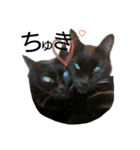 Speak cat.（個別スタンプ：21）