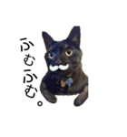 Speak cat.（個別スタンプ：22）