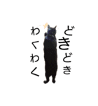 Speak cat.（個別スタンプ：25）