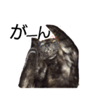 Speak cat.（個別スタンプ：31）