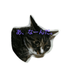 あっちゃんの日常♪（個別スタンプ：2）