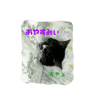 あっちゃんの日常♪（個別スタンプ：3）
