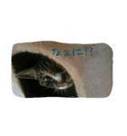 あっちゃんの日常♪（個別スタンプ：4）