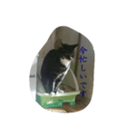 あっちゃんの日常♪（個別スタンプ：5）
