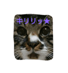 あっちゃんの日常♪（個別スタンプ：7）