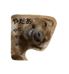 ikuramomozu（個別スタンプ：5）