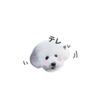 anio（個別スタンプ：2）