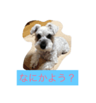 あんどうけのいぶちゃん（個別スタンプ：6）