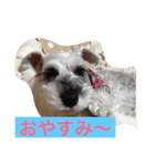 あんどうけのいぶちゃん（個別スタンプ：7）