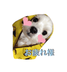 可愛い小太郎さんスタンプ（個別スタンプ：3）