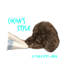 cocoa's style2（個別スタンプ：2）