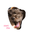 cocoa's style2（個別スタンプ：4）