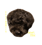 cocoa's style2（個別スタンプ：5）