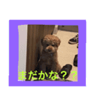 私のショコラ（個別スタンプ：5）