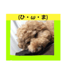 私のショコラ（個別スタンプ：11）