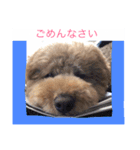 私のショコラ（個別スタンプ：14）