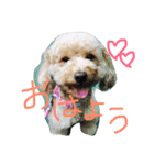 はなはぶちゃいく。（個別スタンプ：2）