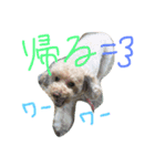 はなはぶちゃいく。（個別スタンプ：6）