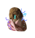 はなはぶちゃいく。（個別スタンプ：12）