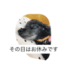 トリミングあるある（個別スタンプ：5）