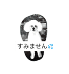 トリミングあるある（個別スタンプ：7）
