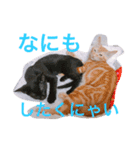 6にゃんとの暮らし（個別スタンプ：2）