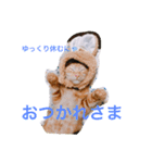 6にゃんとの暮らし（個別スタンプ：7）