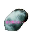 ウサビッチーズ（個別スタンプ：2）