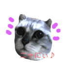 my neighbor toto（個別スタンプ：2）
