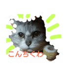 my neighbor toto（個別スタンプ：5）