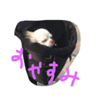 kinago！（個別スタンプ：12）