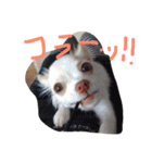 kinago！（個別スタンプ：29）