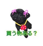わんにゃんこ。（個別スタンプ：14）