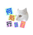 わんにゃんこ。（個別スタンプ：27）