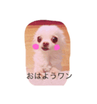 mokokona（個別スタンプ：1）