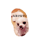 mokokona（個別スタンプ：3）
