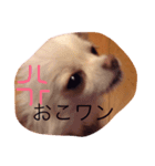 mokokona（個別スタンプ：6）