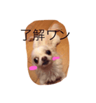mokokona（個別スタンプ：7）