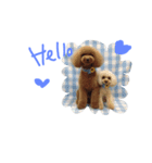 くぅ＆ぽこ（個別スタンプ：1）