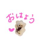 くぅ＆ぽこ（個別スタンプ：2）