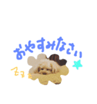 くぅ＆ぽこ（個別スタンプ：3）